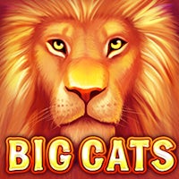 Super Stacked Big Cats