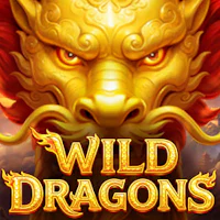 Wild Dragons