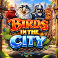 Birds in The City
